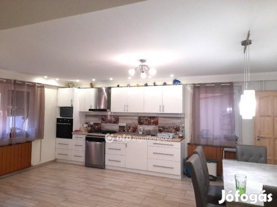 Sándorfalvai 150 nm-es ház eladó