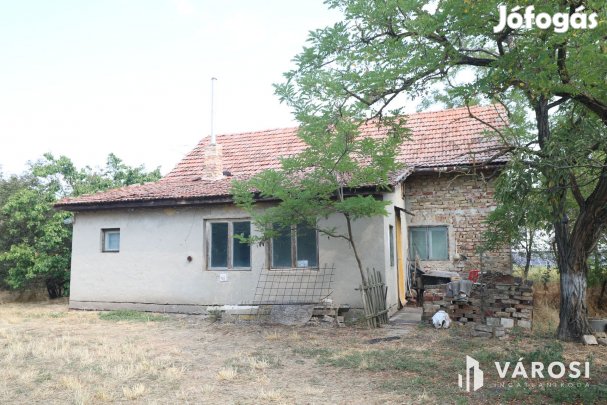 Sándorfalvi úton lévő tanya, közel 10 000 nm-en.