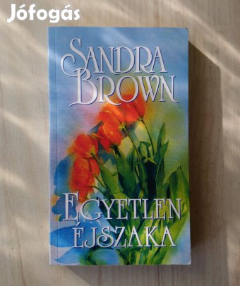 Sandra Brown: Egyetlen éjszaka