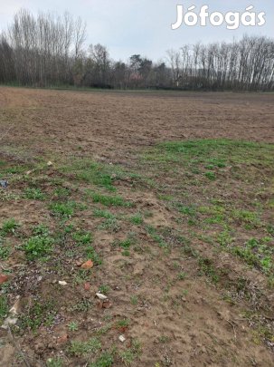 Sárándon föld eladó