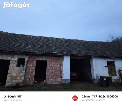 Sárga apatini cserép