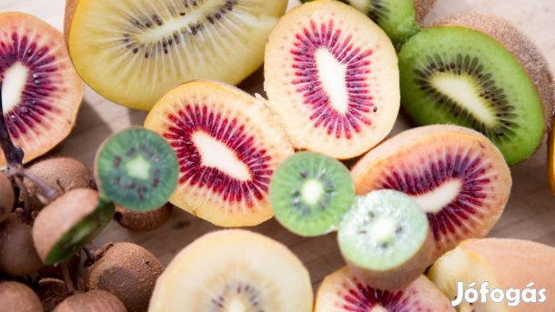 Sárga húsú kivi oltvány eladó