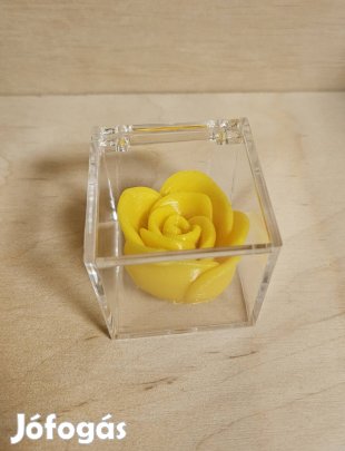 Sárga rózsa nyomtatott