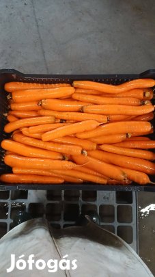 Sárgarépa eladó