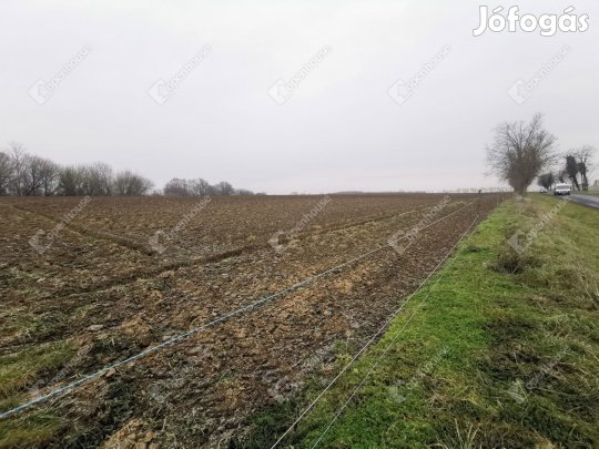 Sármelléki 1761 nm-es szántó eladó