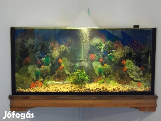 Sarok terrárium 140 literes, 75 cmx75 cmx106 cmx50 cm magas, használt