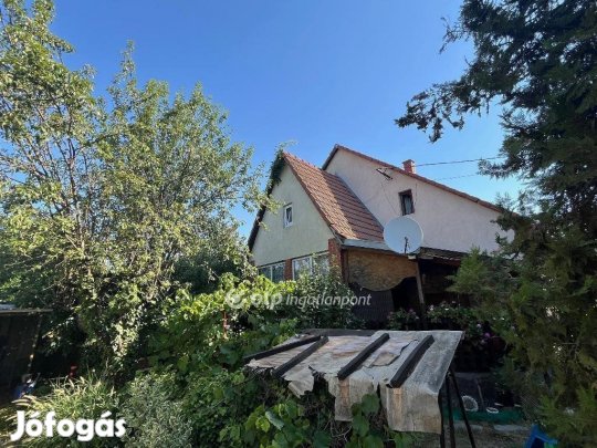 Sárosdi 190 nm-es ház eladó