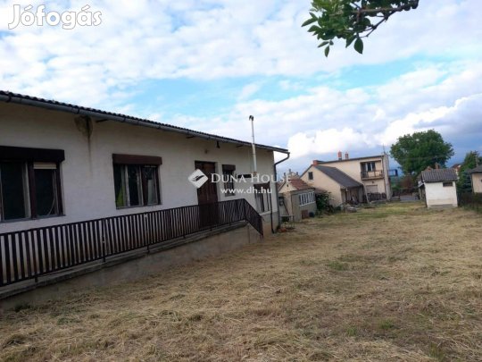 Sárszentmihályi 160 nm-es ház eladó