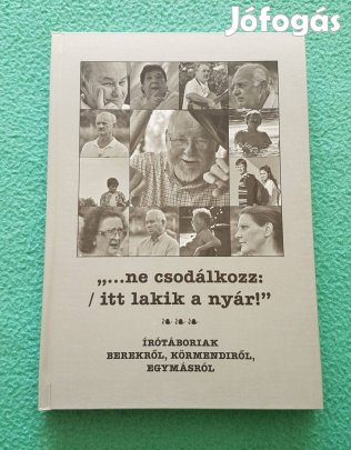 Sarusi Mihály: ne csodálkozz:/itt lakik a nyár! könyv