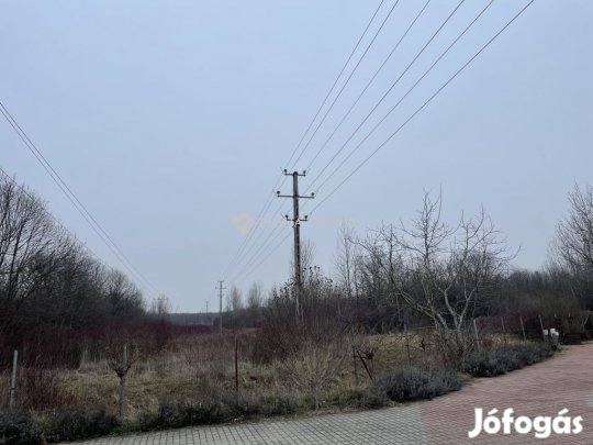 Sárvári 67083 nm-es telek eladó