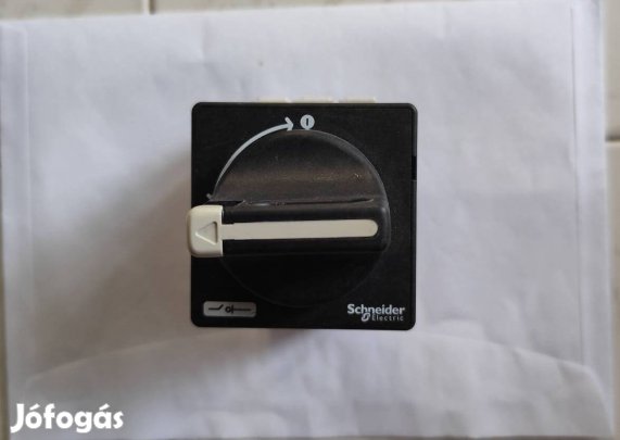 Schneider Elektric Kapcsoló 25A eladó 