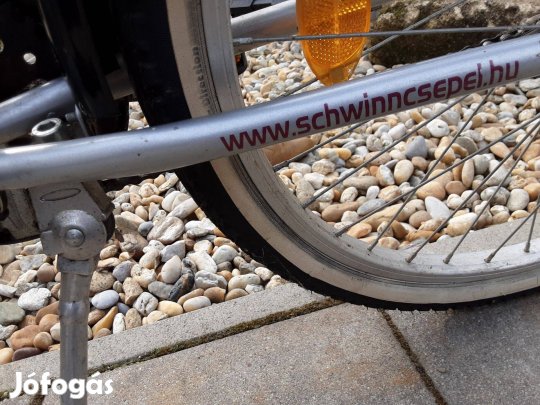 Schwinn Budapest Gyermek kerékpár lány bicikli