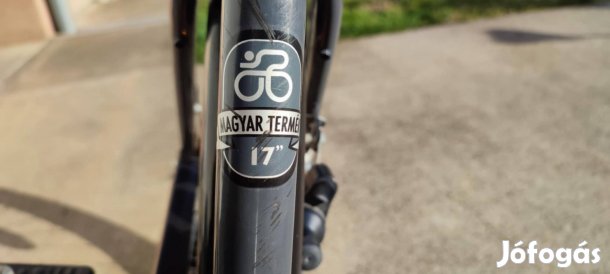 Schwinn Csepel Budapest 26"