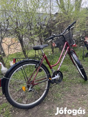 Schwinn Csepel Ranger mtb kerékpár 26"