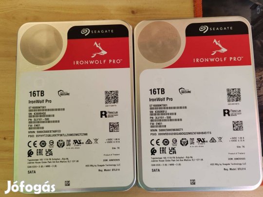 Seagate Ironwolf Pro 16T HDD