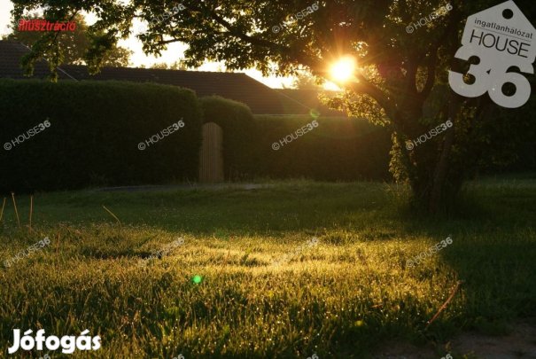 Selymesi zártkerti telek eladó!