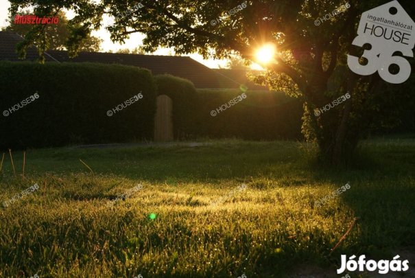 Selymesi zártkerti telek eladó!