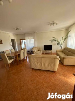 Sényő központjában karbantartott igényes családi ház eladó!