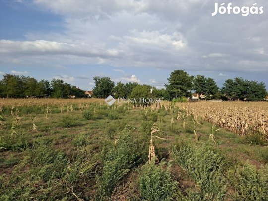 Seregélyesi 838 nm-es telek eladó