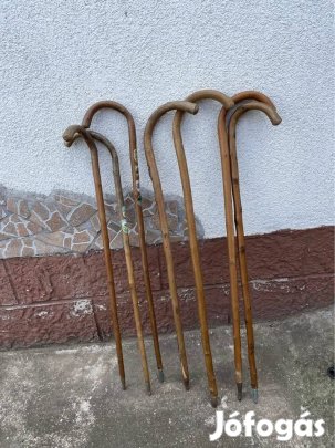 Sétabot, túrabot, turistabot, vándorbot