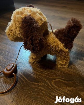 Sétáló ugató kutya