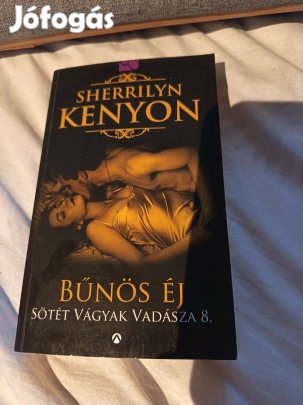 Sherrilyn Kenyon: Bűnös éj (Sötét Vadászok / Sötét Vágyak Vadásza 8.)