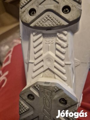 Síbakancs női Nordica