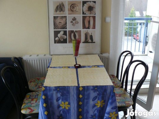 Siófok-Aranyparton vízparti villaparkban nyáron apartman kiadó!