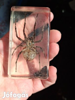 Skorpió, rózsabogár, pók műgyantában