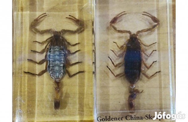 Skorpió preparátum