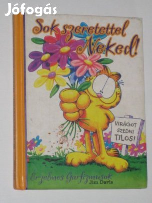 Sok szeretettel Neked! Szerelmes Garfizmusok