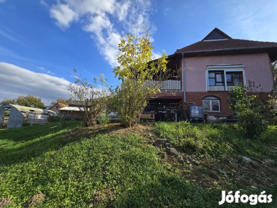 Sokoldalú családi ház Tófejen  otthon, vállalkozás, lehetőség egy