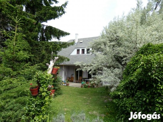 Solymár, Hutweide, 361 m2-es, 2 generációs, családi ház, 9 szobás