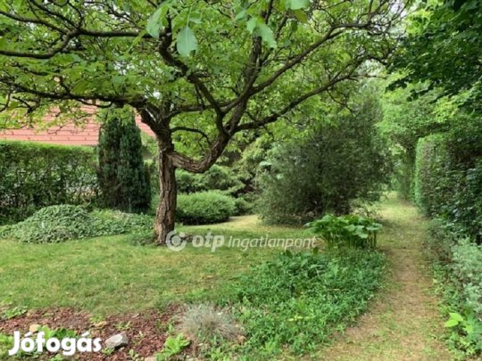 Solymári 40 nm-es ház eladó