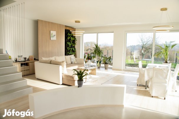 Solymári eladó új építésű tégla ikerház