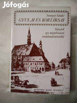 Somogyi Sándor - Gyulai és kortársai / Fejezetek egy negyedszázad irod