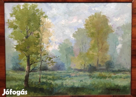 Somogyi jános. Tájkép