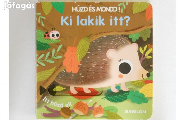 Sonia Baretti - Ki lakik itt? gyerekkönyv