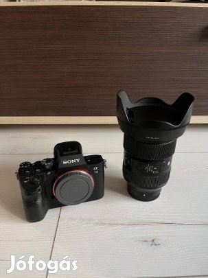 Sony A7III + Sigma 24-70mm f2.8 DG DN (Sony E)