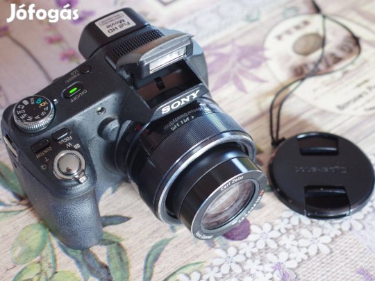 Sony Cyber-shot DSC-HX100V 30x ultrazoom