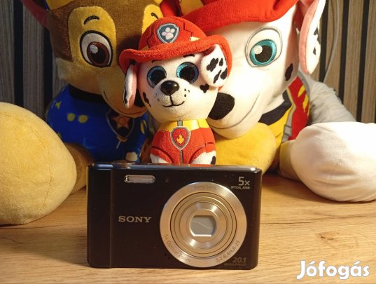 Sony DSC w 800
