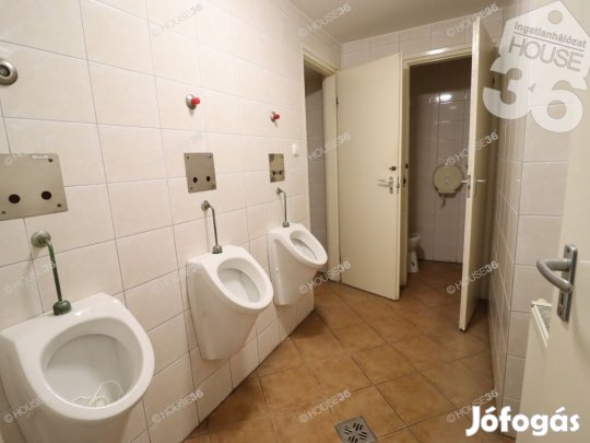 Soproni 520 nm-es fogadó eladó