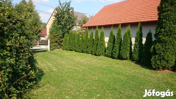 Söréden 80 m2-es apartmanlakás 2026. március 1-től kiadó