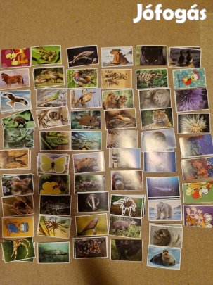 Spar Garfield matricák Mentsük meg a bolygót!