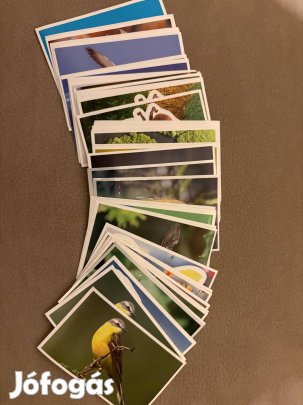 Spar Mentsük meg a bolygót matrica