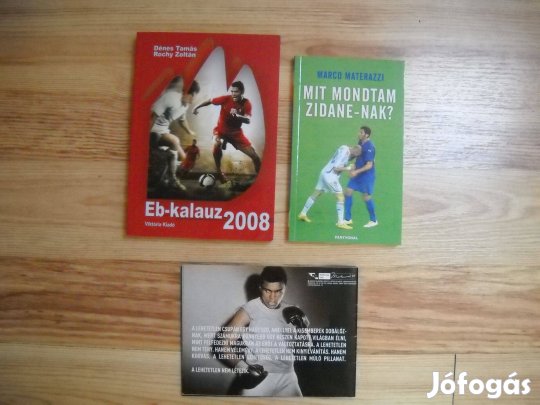 Sport 2002, Eb-kalauz 2008, Mit mondtam Zidane-nak? + poszter