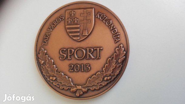 Sport Különdíj Tata városától 2013-as ritka szép db
