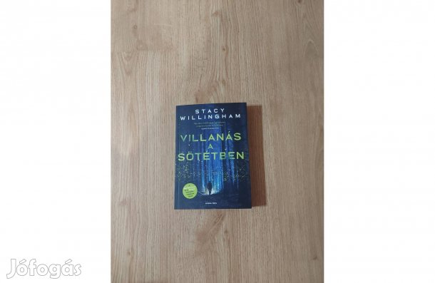 Stacy Willingham: Villanás a sötétben