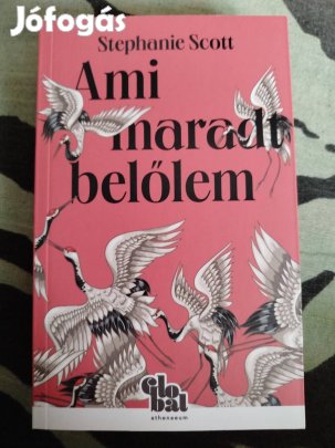 Stephanie Scott - Ami maradt belőlem