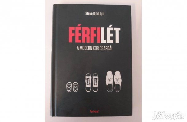 Steve Biddulph: Férfilét (A modern kor csapdái)
